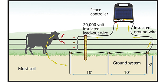Electric Fence wiring